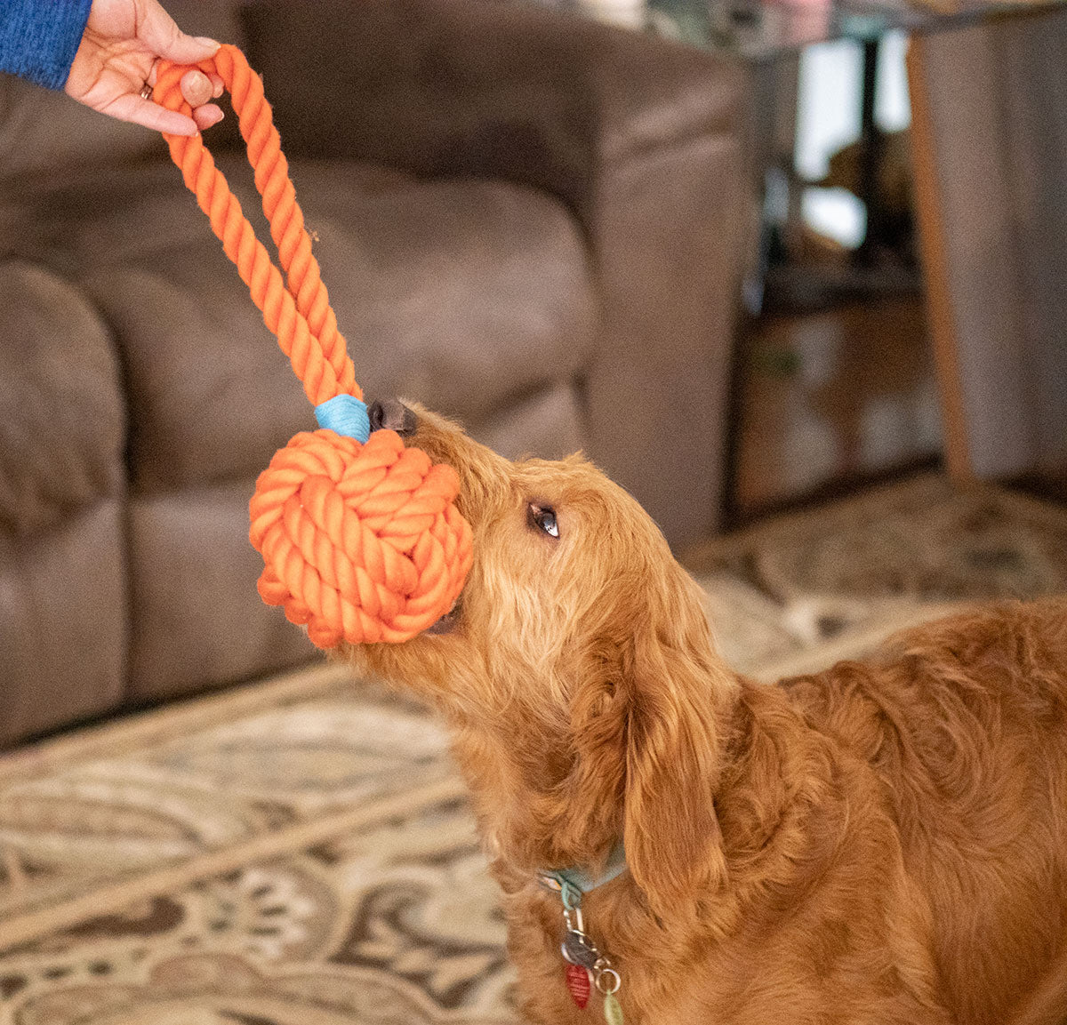 ThoozyPet Ball Tug Rope Dog Toy with Handle Orange 5"