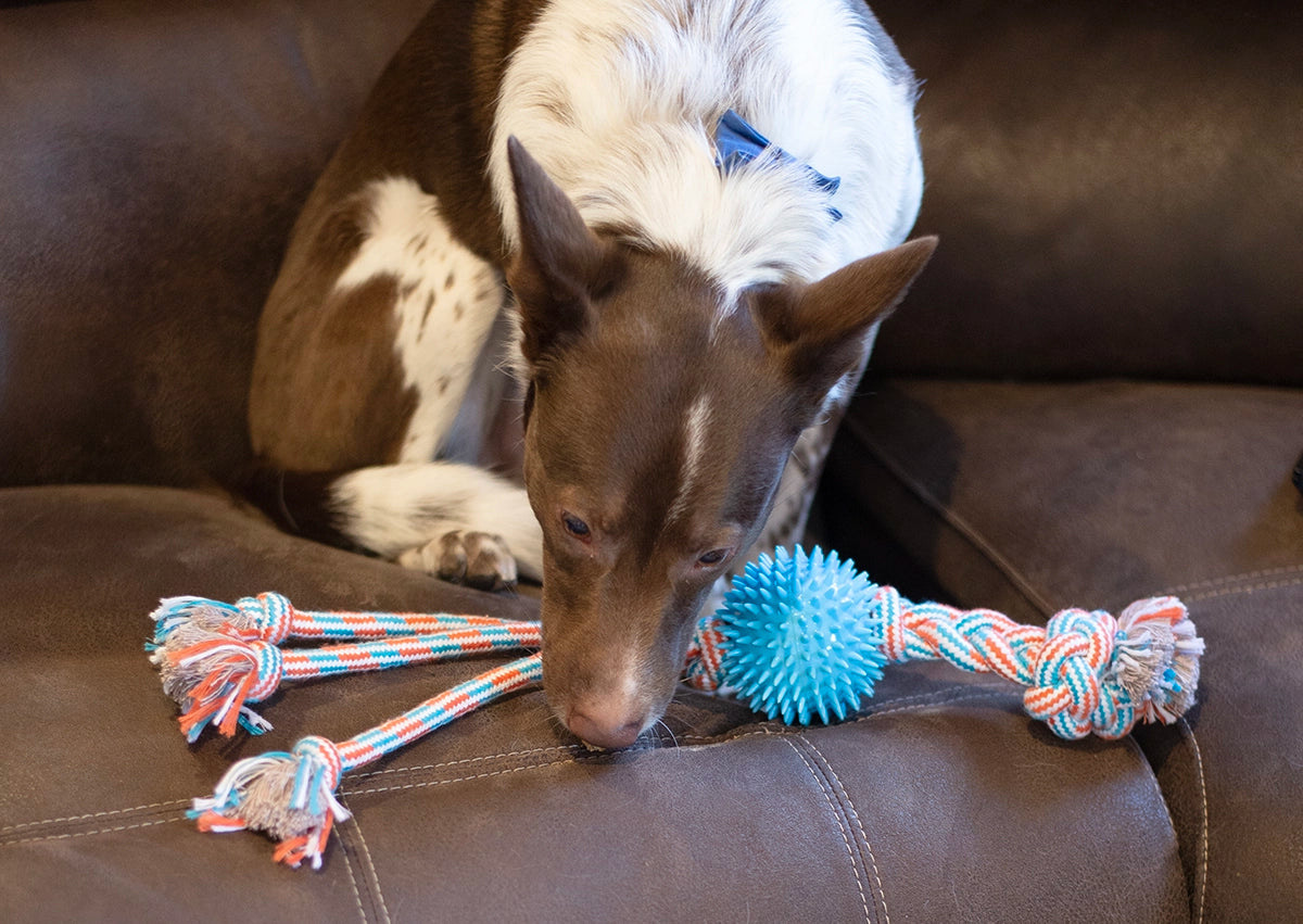 ThoozyPet Squid Tails Tug Rope Dog Toy with TPR Spike Ball Yellow / Pink 22"