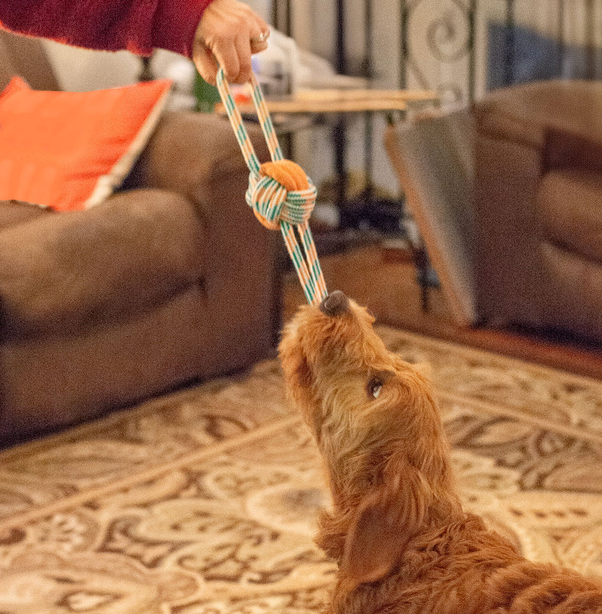 ThoozyPet Figure 8 Knot Ball Rope Dog Toy Orange / Teal 11.5"