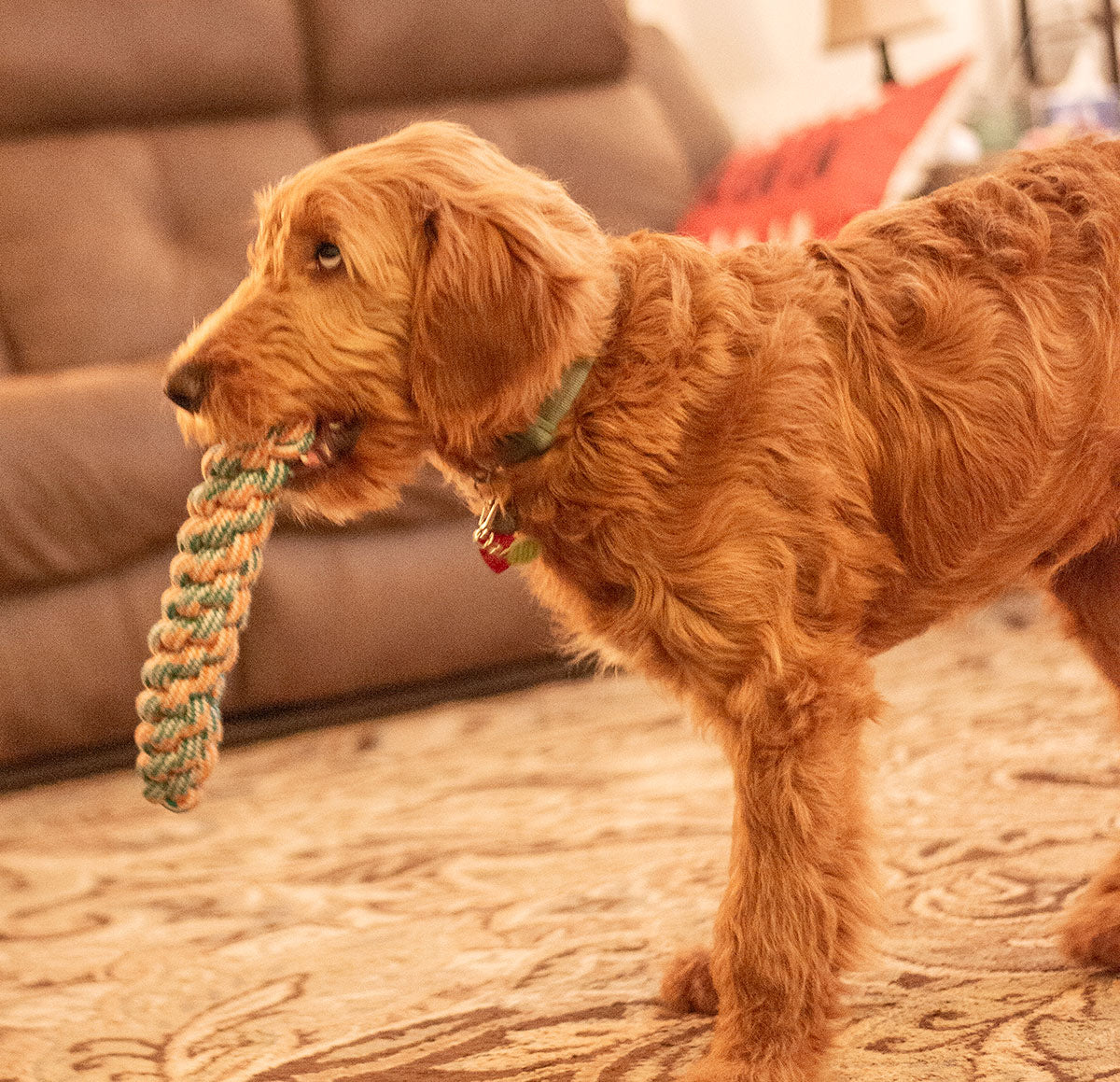 ThoozyPet Knotted Fetch Stick Rope Dog Toy Orange / Teal 12.5"