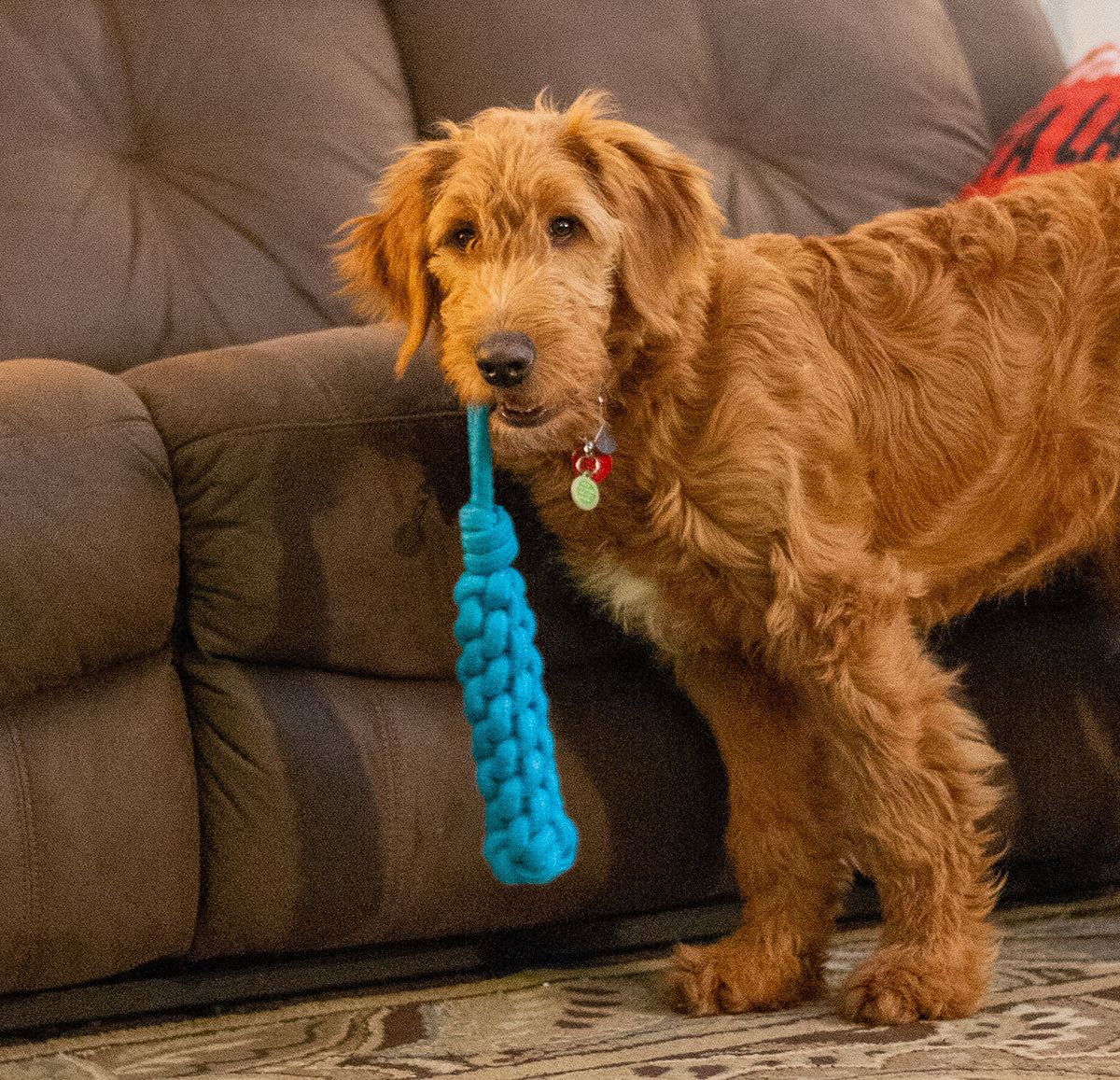 ThoozyPet Knotted Stick Rope Dog Toy with Handle Blue 11"