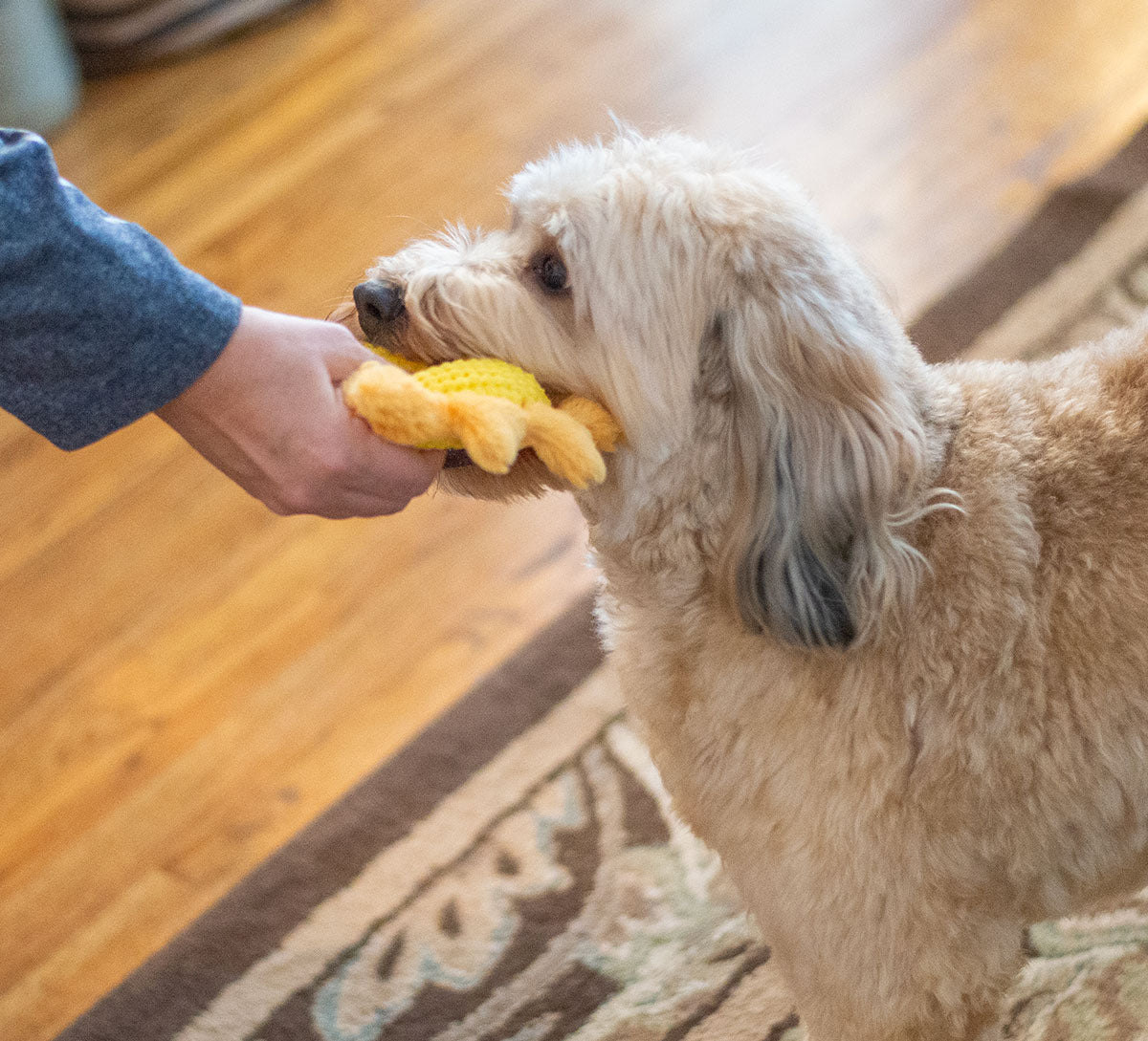 ThoozyPet Sun Plush Dog Toy 8"