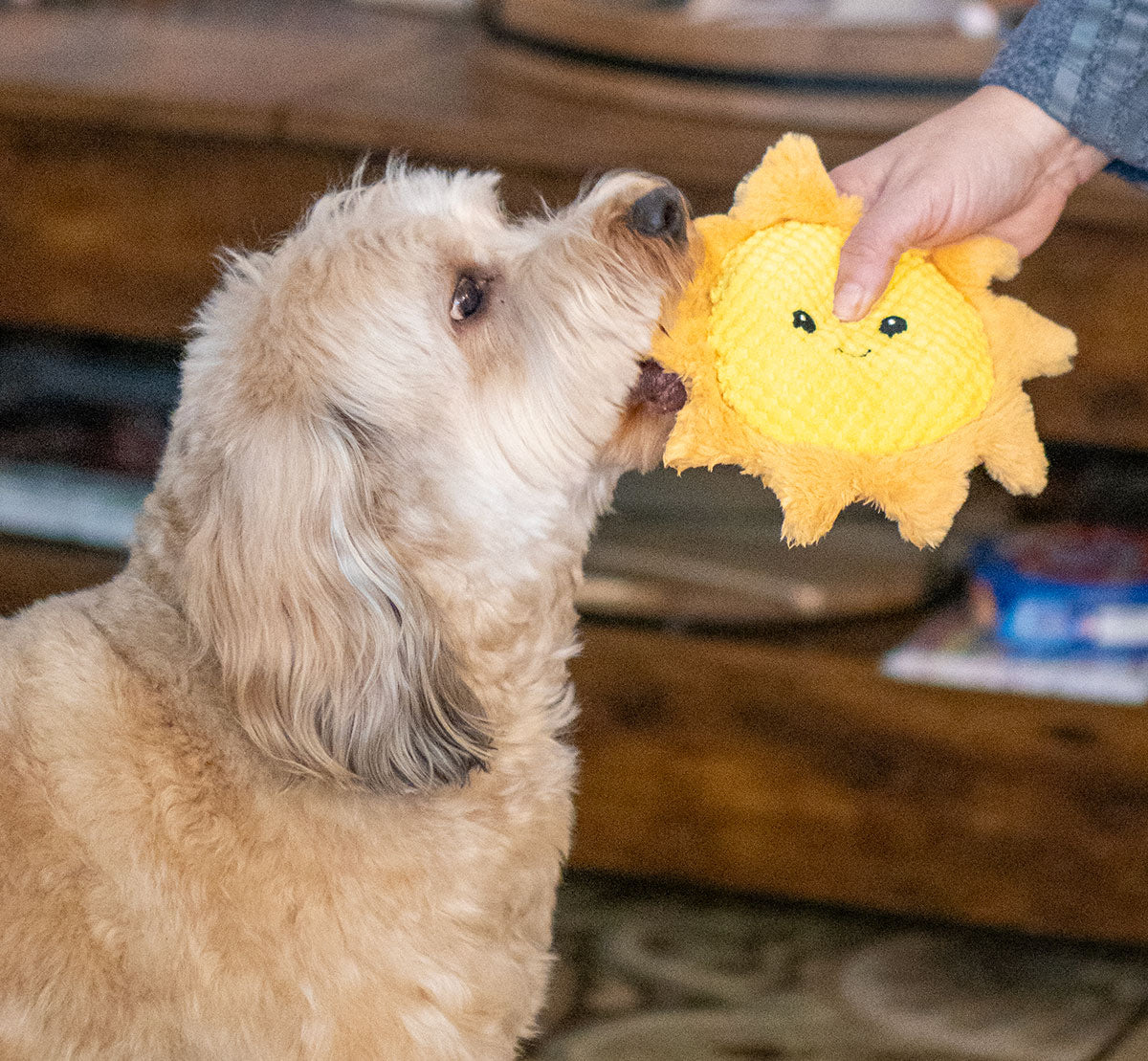 ThoozyPet Sun Plush Dog Toy 8"