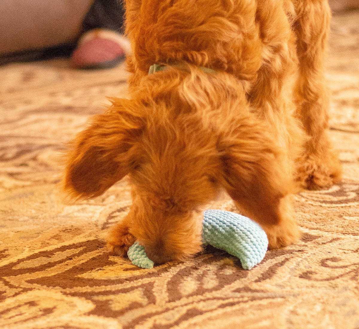 ThoozyPet Crescent Moon Plush Dog Toy 8"