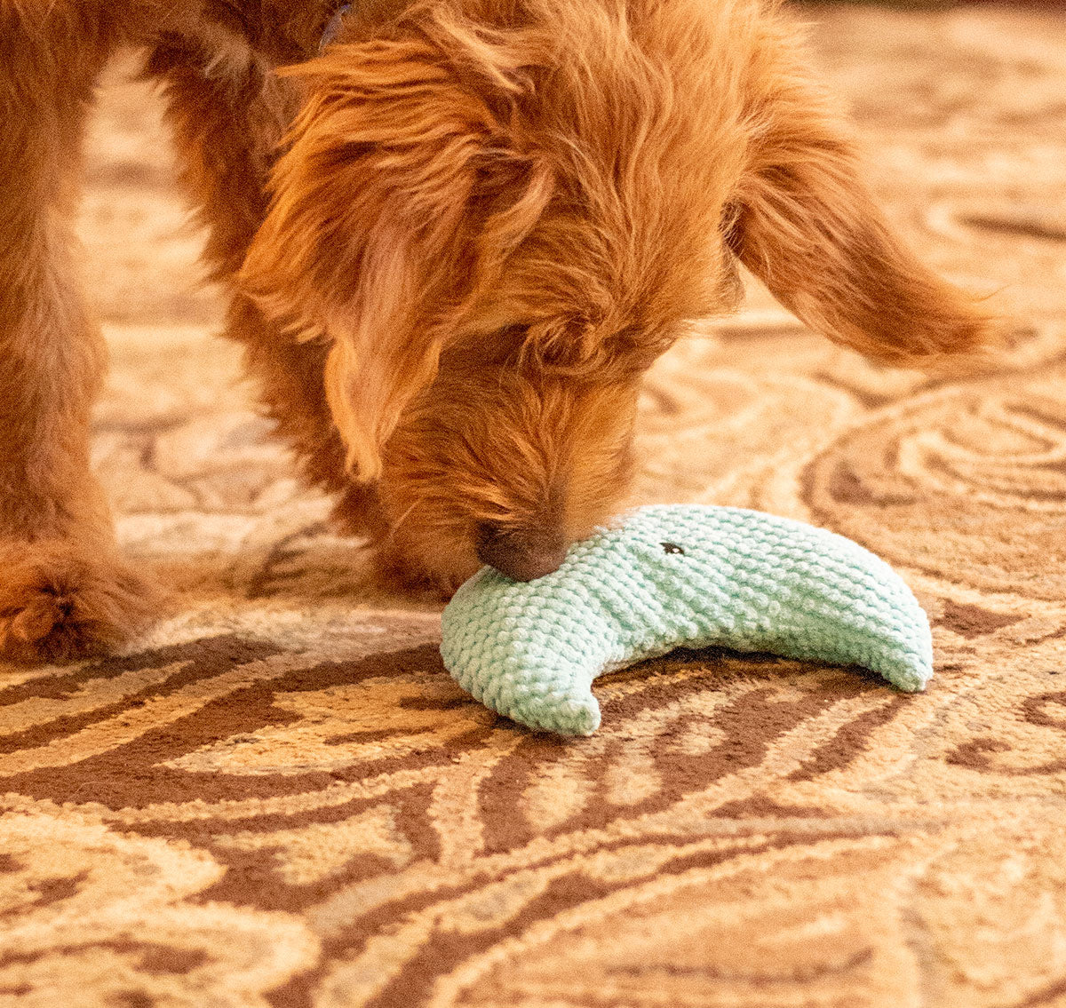 ThoozyPet Crescent Moon Plush Dog Toy 8"