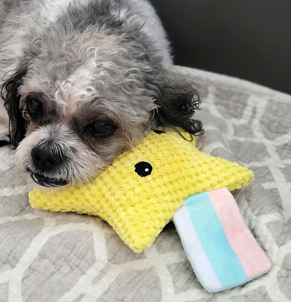 ThoozyPet Shooting Star Plush Dog Toy 8"