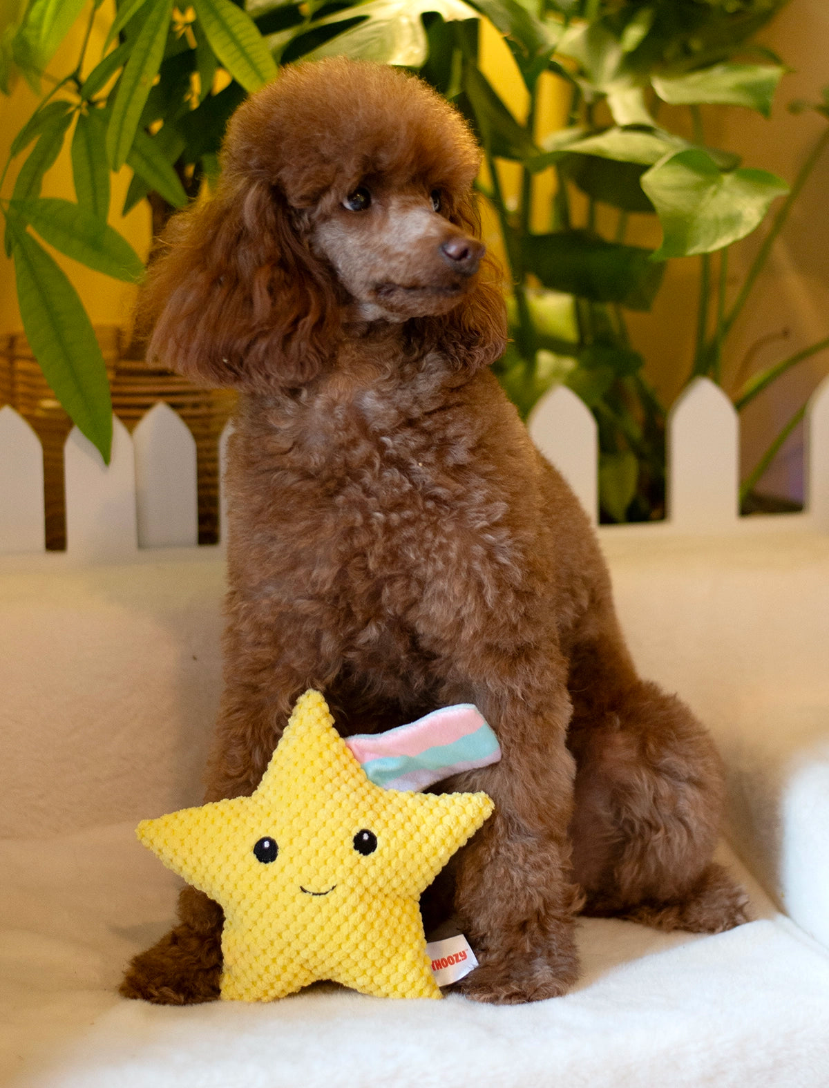 ThoozyPet Shooting Star Plush Dog Toy 8"