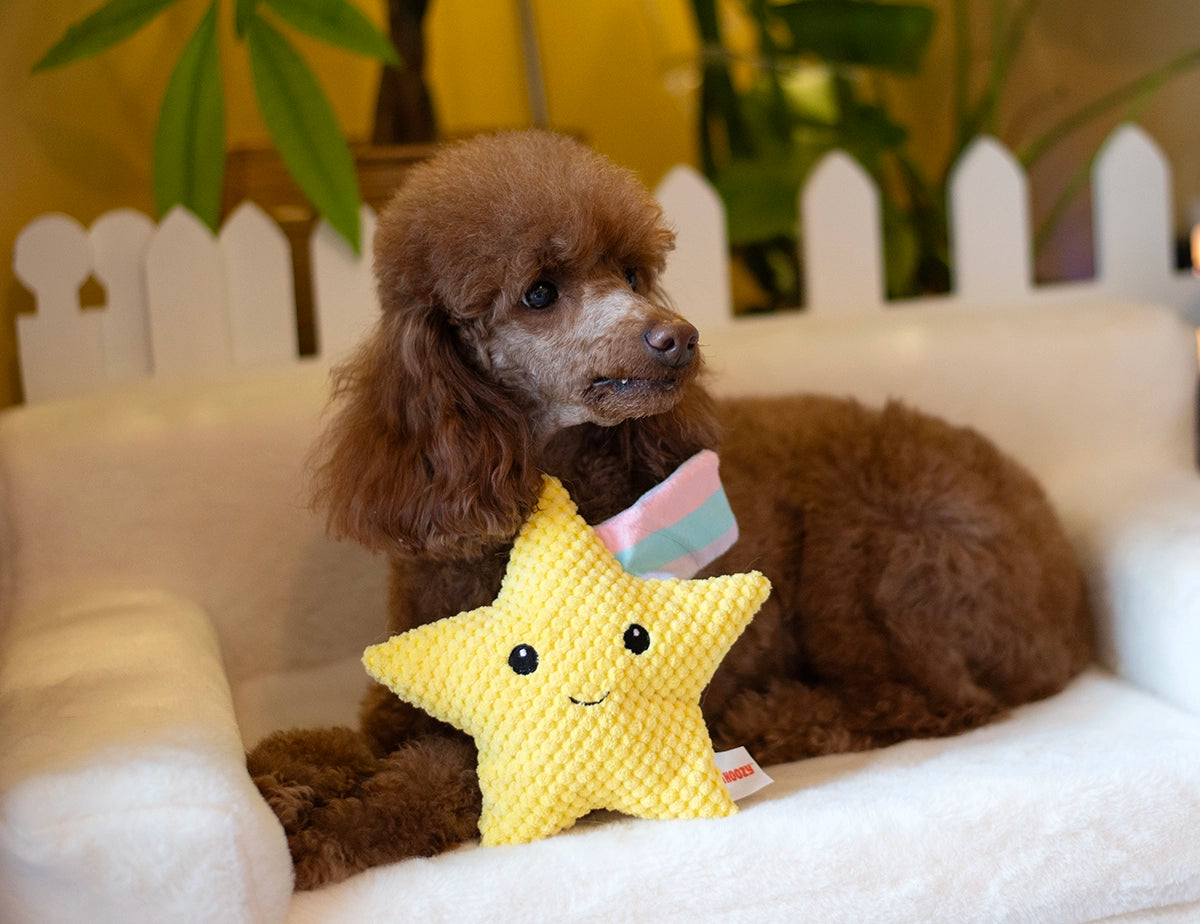ThoozyPet Shooting Star Plush Dog Toy 8"