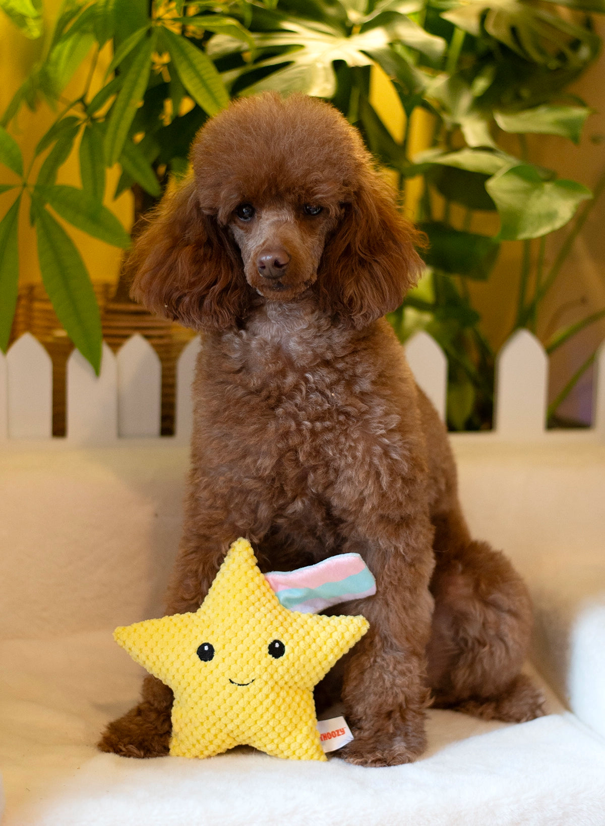 ThoozyPet Shooting Star Plush Dog Toy 8"
