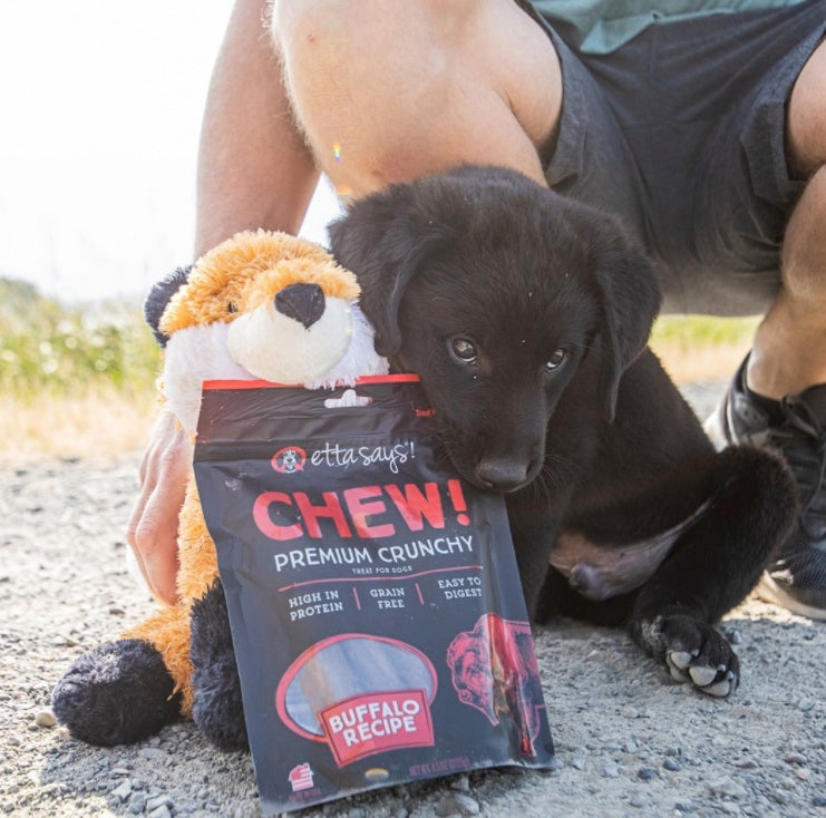 Etta Says! Chew Premium Crunchy Buffalo Dog Chew 4.5oz