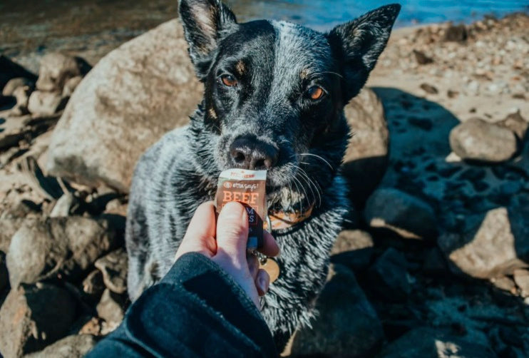 Etta Says! Beef Yumm Sticks Dog Chew Display Box 24ct