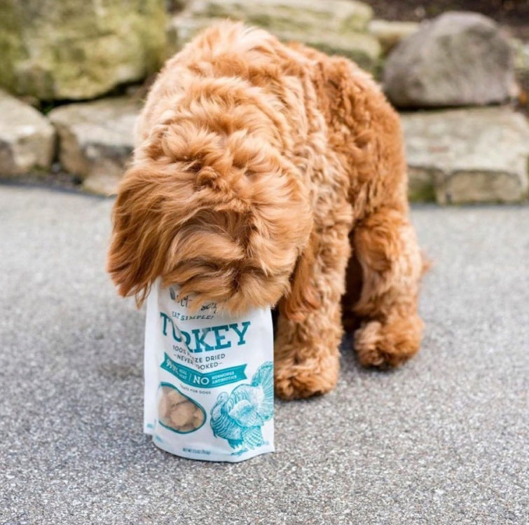 Etta Says! Eat Simple! 100% Freeze Dried Dog Treats Turkey 2.5oz