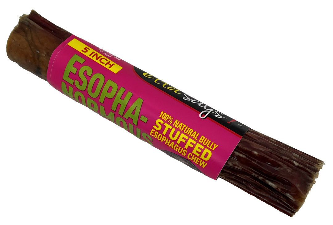 Etta Says! Esopha-normous Bully Stuffed Esophagus Chew Indiv. 5"