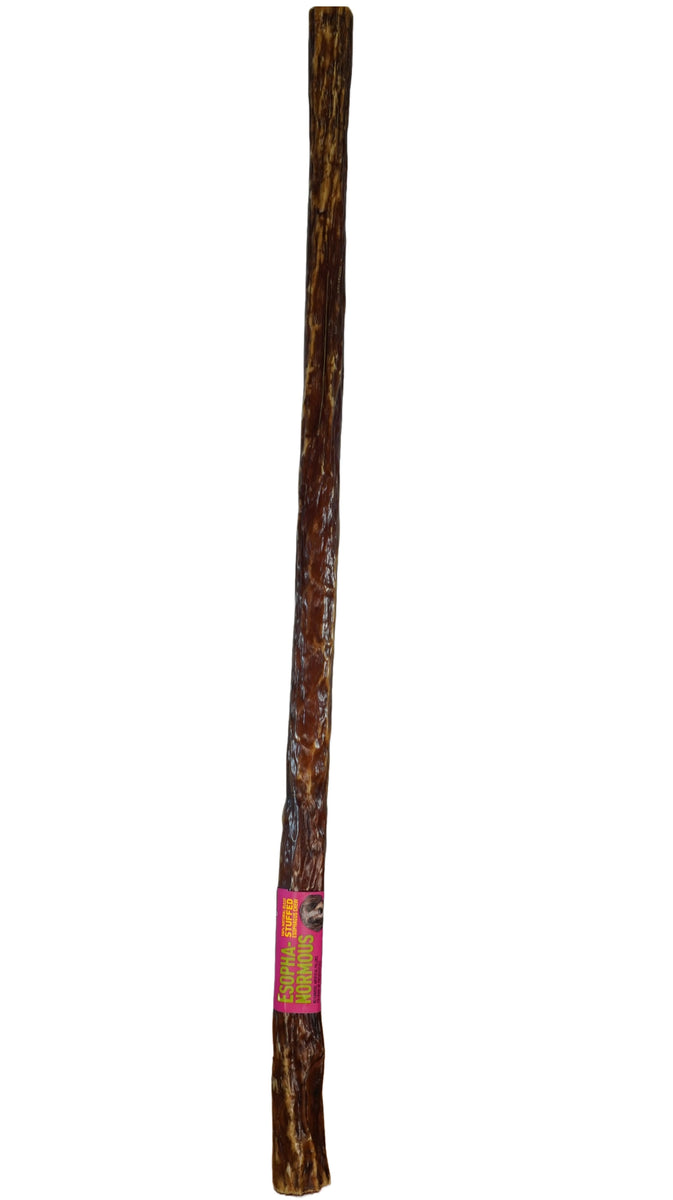 Etta Says! Esopha-normous Bully Stuffed Esophagus Chew Indiv. 10"