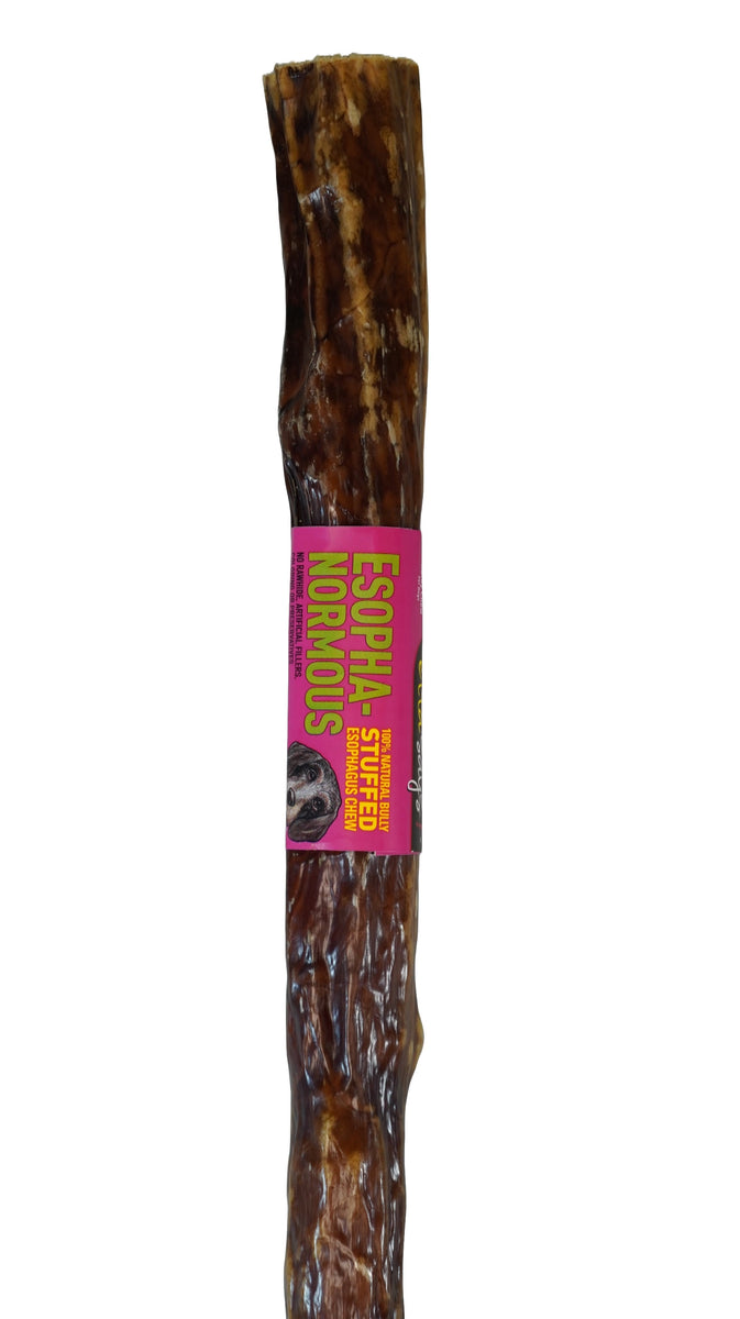 Etta Says! Esopha-normous Bully Stuffed Esophagus Chew Indiv. 10"