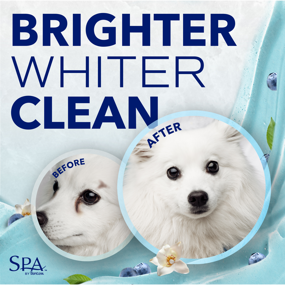 SPA by TropiClean Tear Stain Remover for Pets, 1 gal