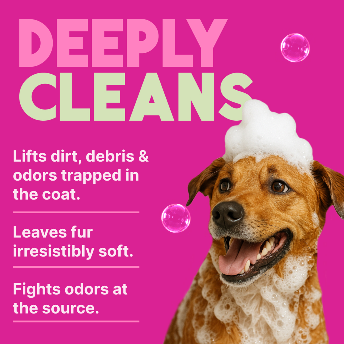 TropiClean Berry + Coconut Deep Cleansing Pet Shampoo, 20oz