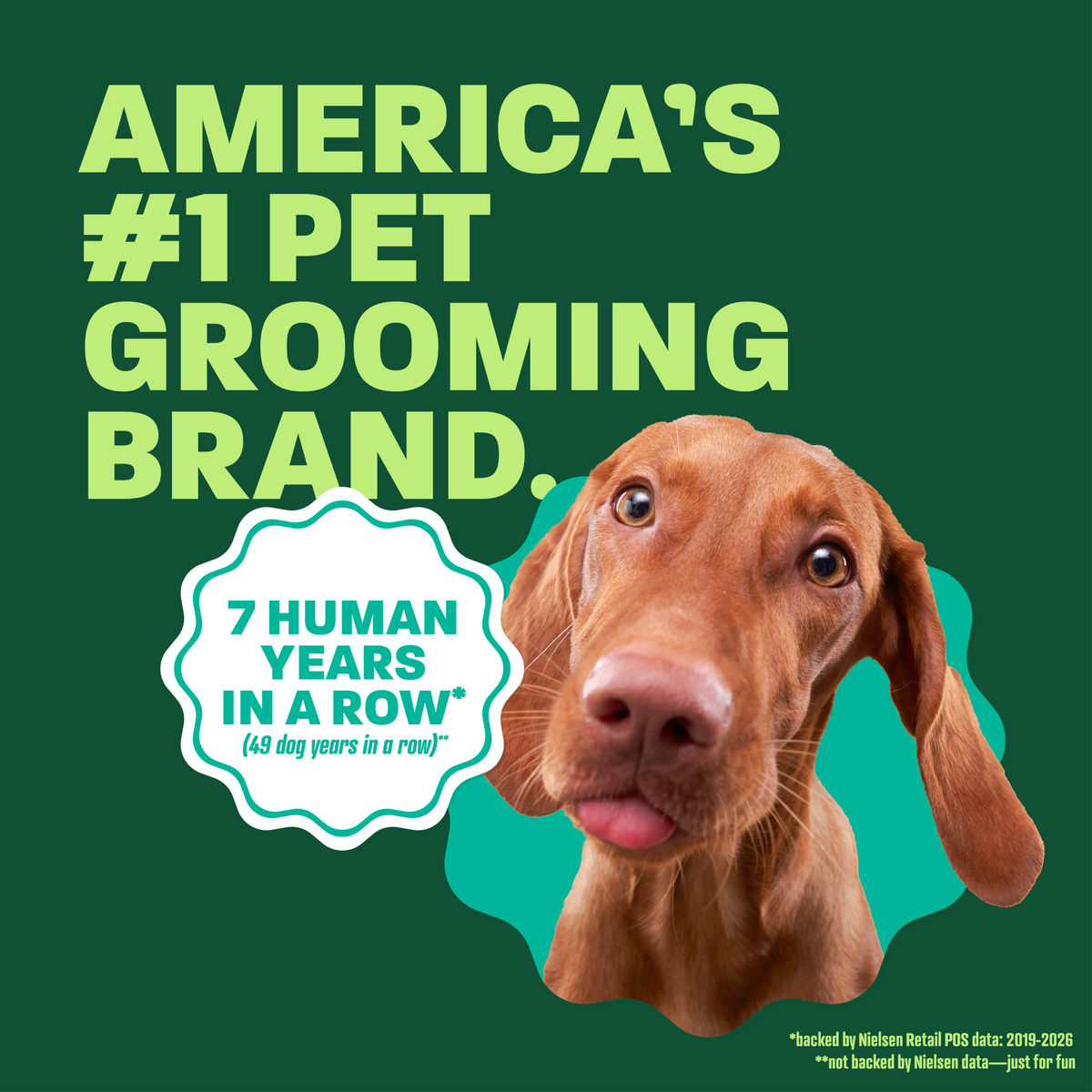 TropiClean Oatmeal + Tea Tree Medicated Itch Pet Shampoo, 20oz