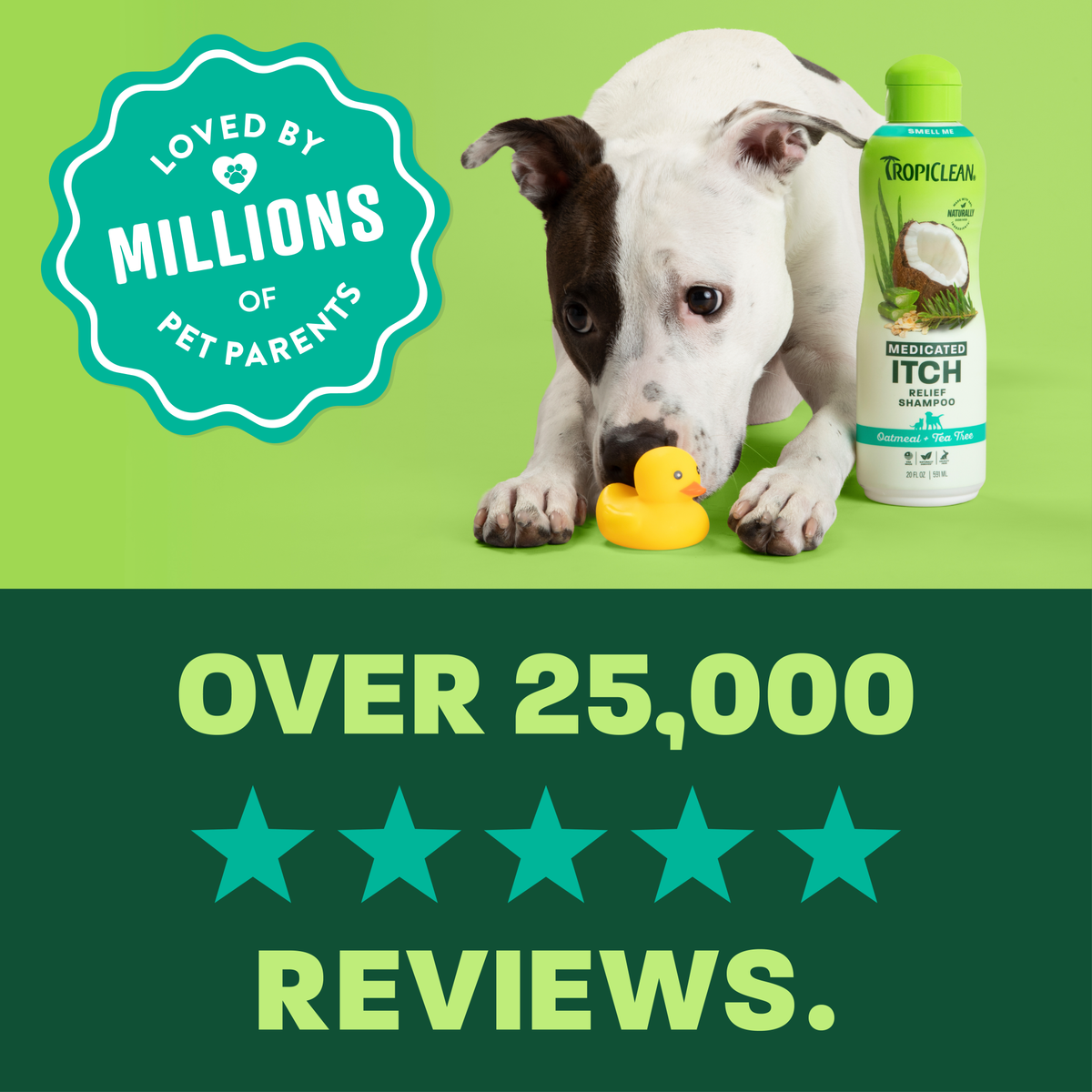 TropiClean Oatmeal + Tea Tree Medicated Itch Pet Shampoo, 20oz