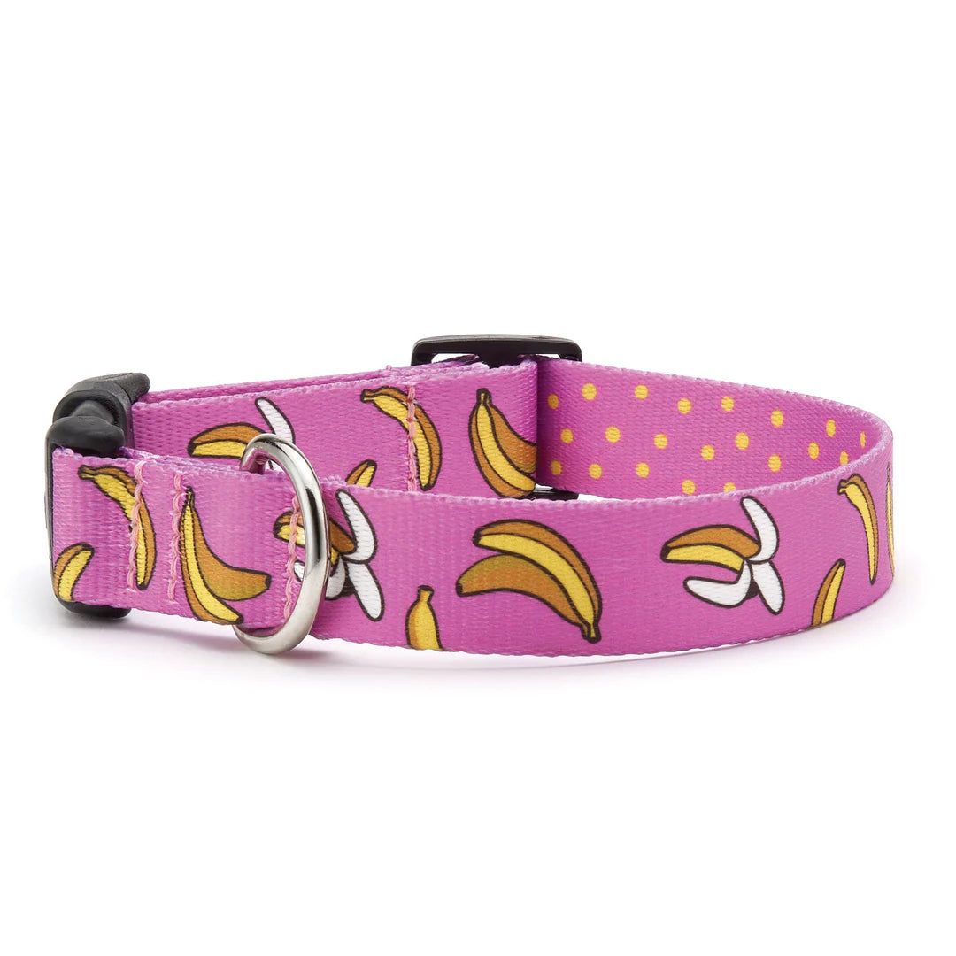 Up Country Sport Go Bananas Collar MED Wide