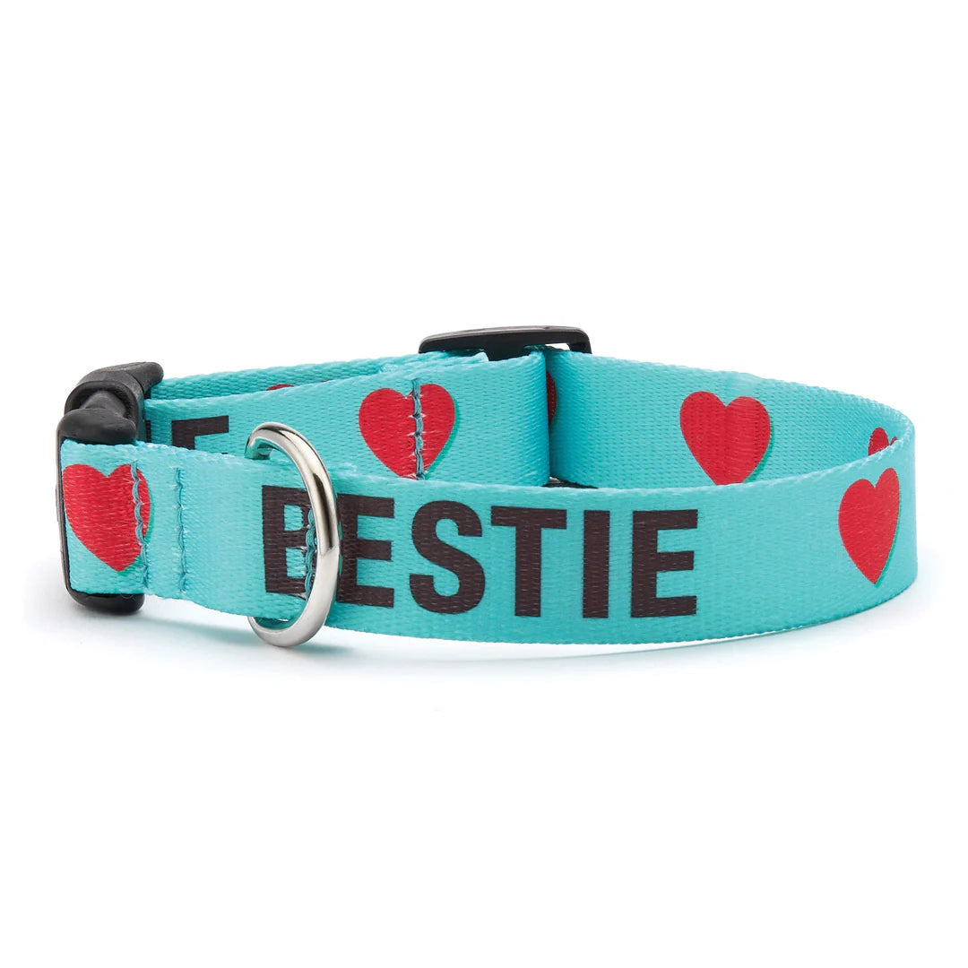 Up Country Sport Bestie Collar SM Narrow