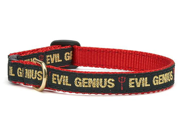 Up Country Evil Genius Cat Collar