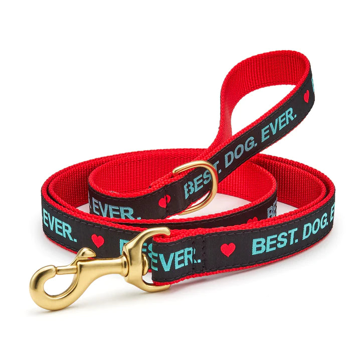 Up Country 5' Narrow Best Dog Ever Lead