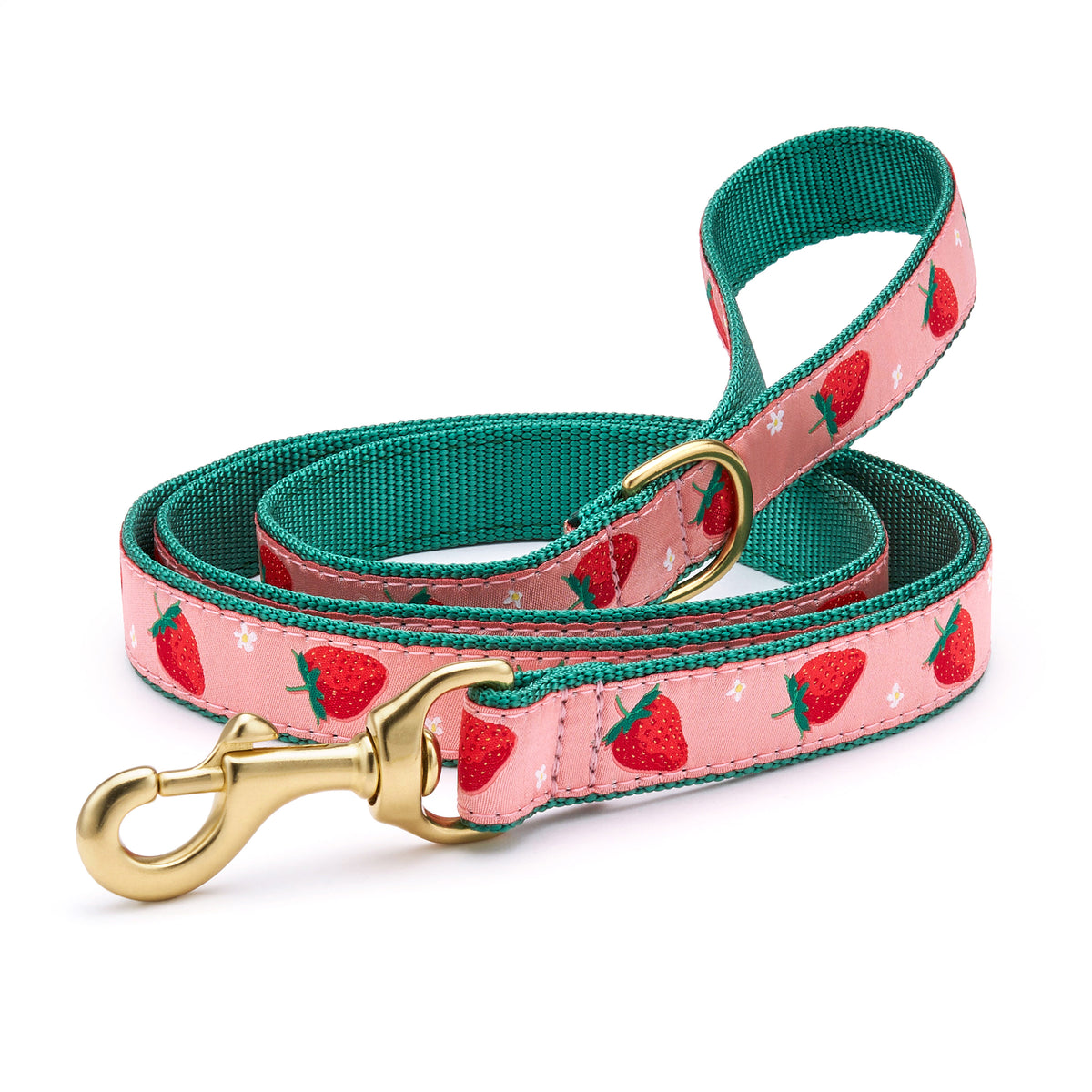 Up Country 5' Strawberry Fields Dog Lead Wide