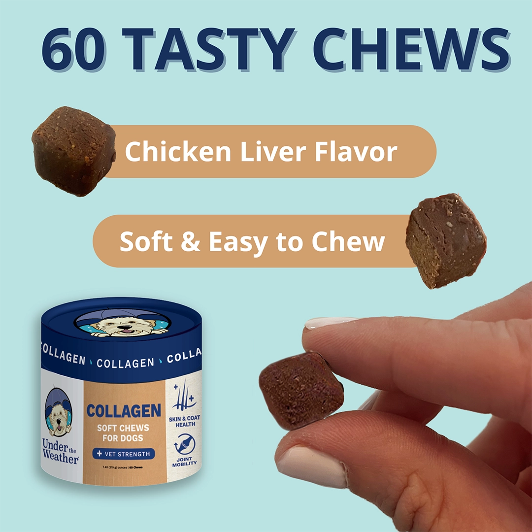 Under the Weather Collagen Soft Chew for Dogs 3.5oz