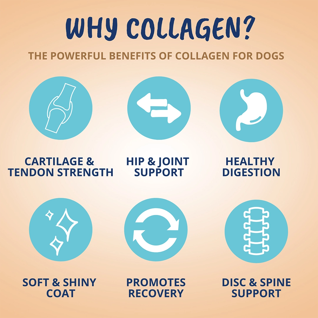 Under the Weather Collagen Soft Chew for Dogs 3.5oz