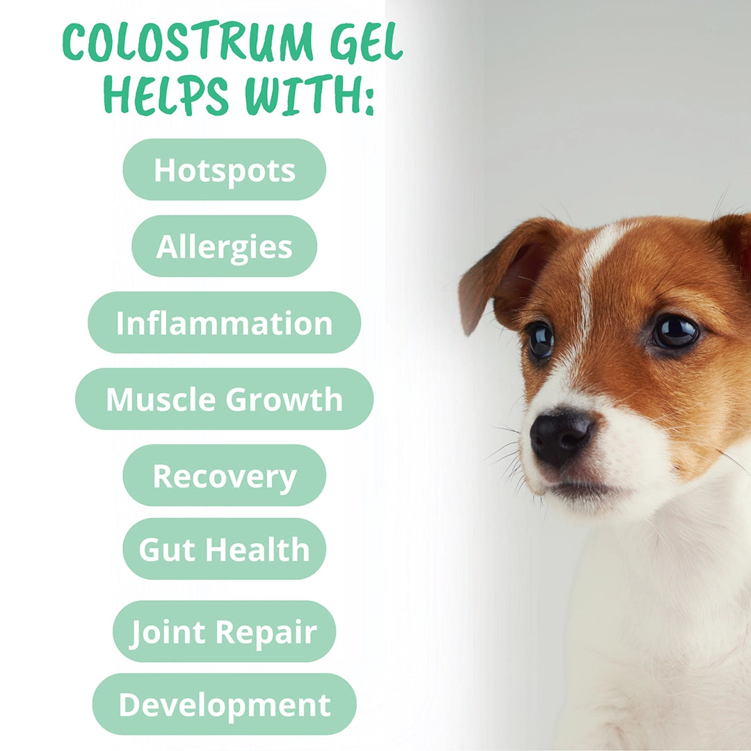 Under the Weather Colostrum Gel Squeezable for Dogs 30cc