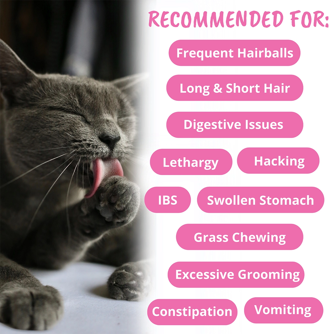 Under the Weather Cat Hairball Support Chews 60 ct.