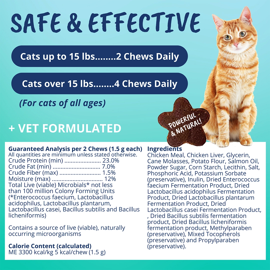 Under the Weather Cat Probiotic Chews 60 ct.