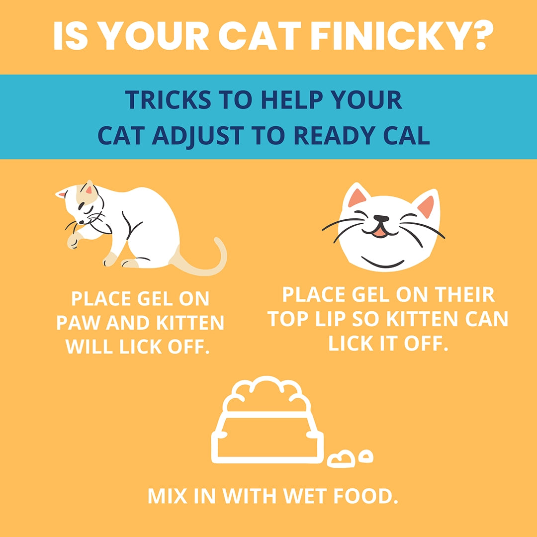 Under the Weather Ready Cal Plus w Electrolytes Squeezable for Cats 3.5oz