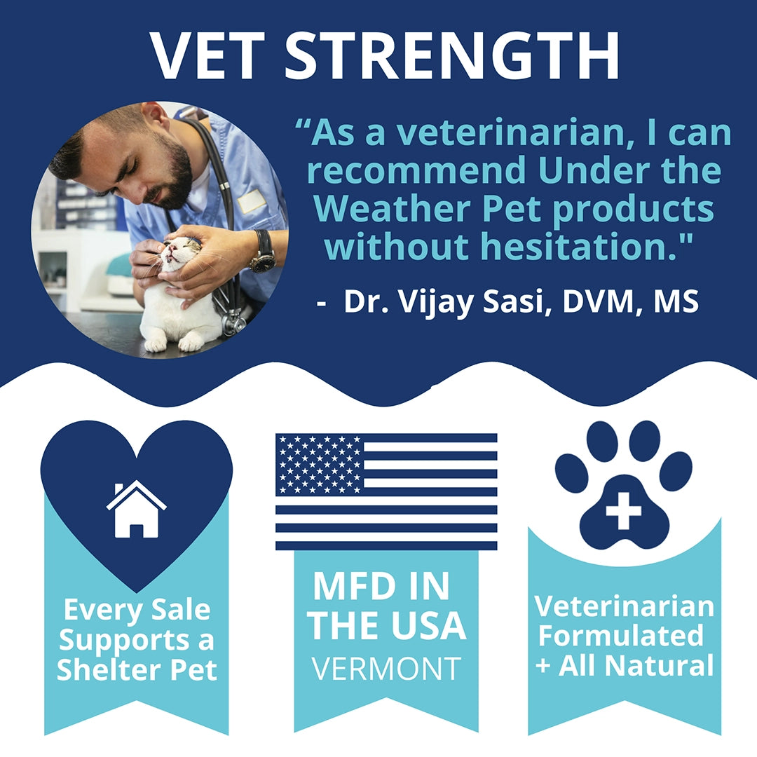 Under the Weather Ready Cal Plus w Electrolytes Squeezable for Cats 3.5oz