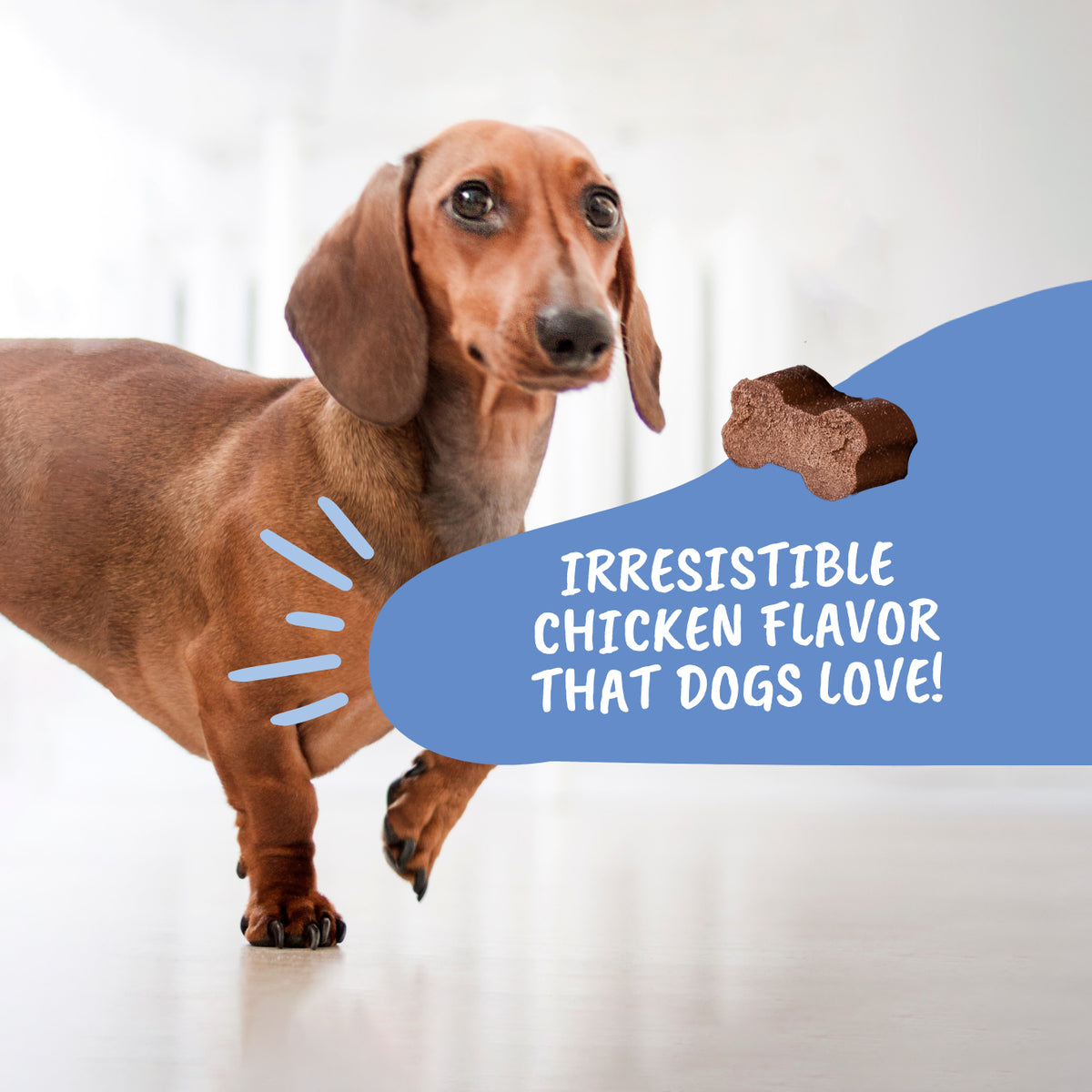 Under the Weather Disc & Spine Soft Chew 60ct.