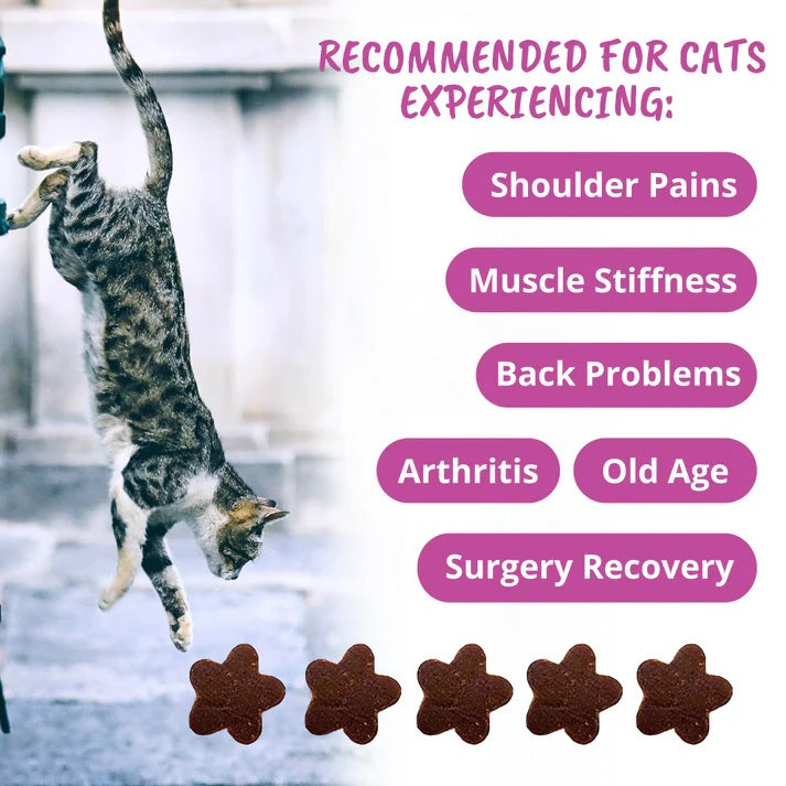 Under the Weather Mobility Chews for Cats