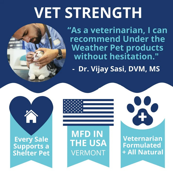 Under the Weather Mobility Chews for Cats