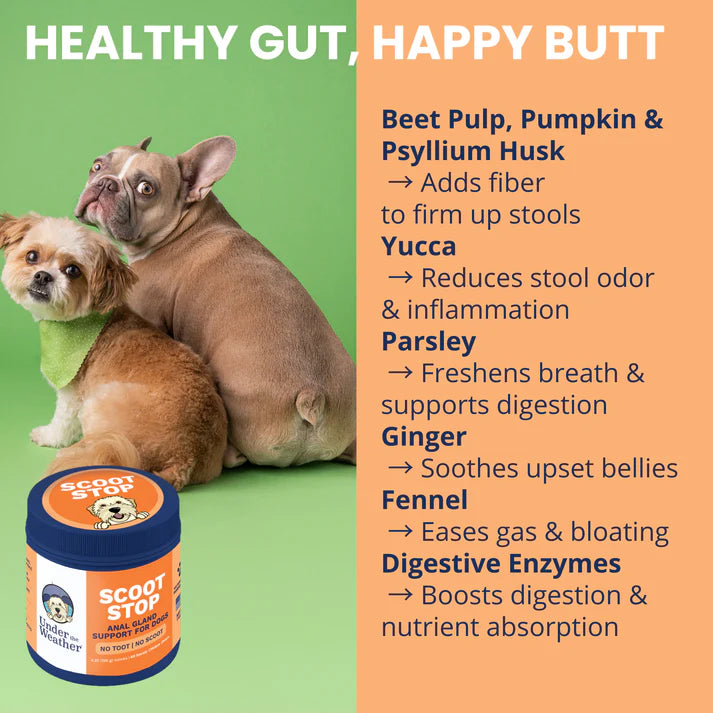 Under the Weather Scoot Stop Soft Chew 60ct