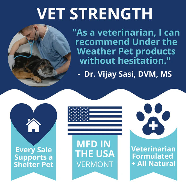 Under the Weather Coprophagia - No Poop Eating Soft Chew 60ct