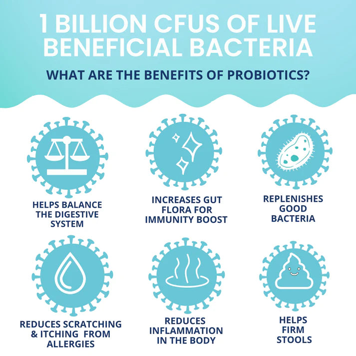 Under the Weather Probiotic Soft Chew 60ct