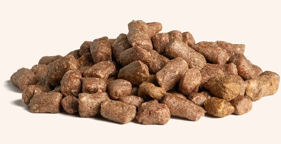 Vital Essentials® Freeze-Dried Raw Beef Entree Dog Food Mini Nibs, 25 oz