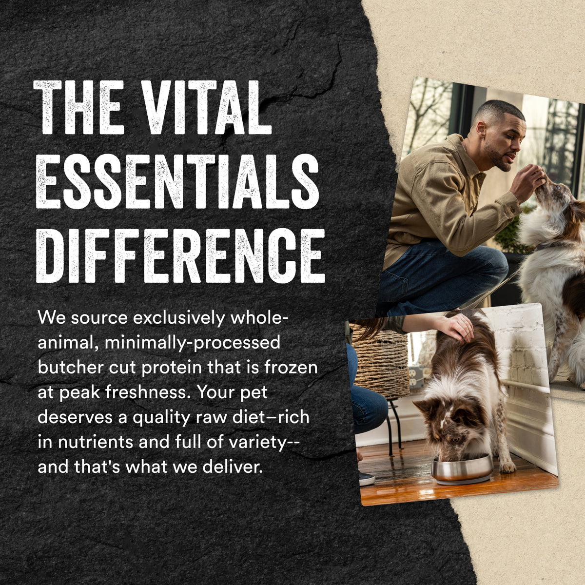 Vital Essentials® Freeze-Dried Raw Chicken Breast Dog Treats, 3.75 oz