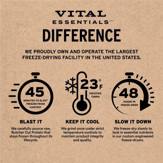 Vital Essentials® RAW BAR Freeze-Dried Raw Pig Snout Dig Treat 1 oz