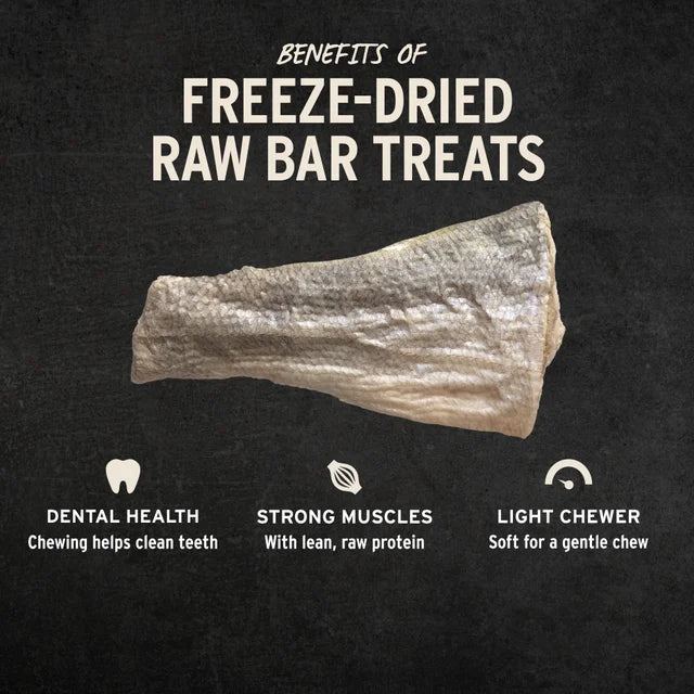 Vital Essentials RAW BAR Freeze-Dried Raw Silver Carp Filet Dog Treat, 1.12 oz