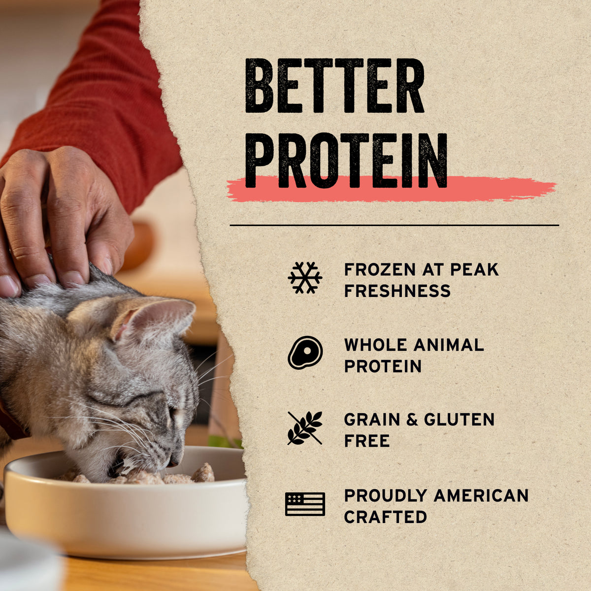 Vital Essentials® Freeze-Dried Raw Chicken Breast Cat Treats, 2.1 oz