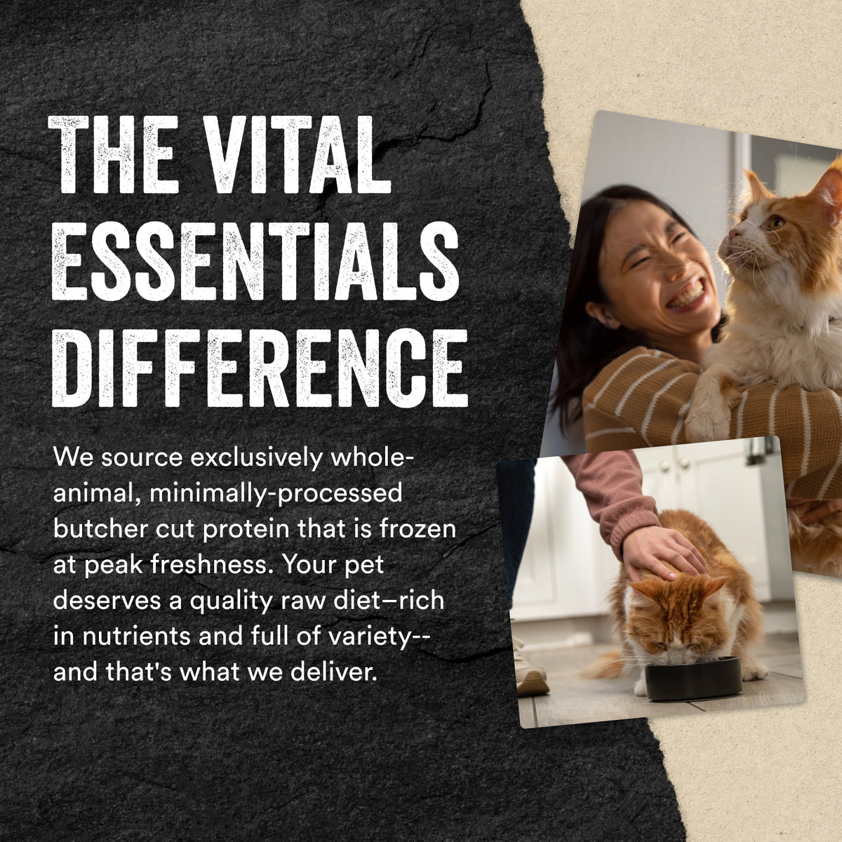 Vital Essentials® Freeze-Dried Raw Chicken Breast Cat Treats, 2.1 oz