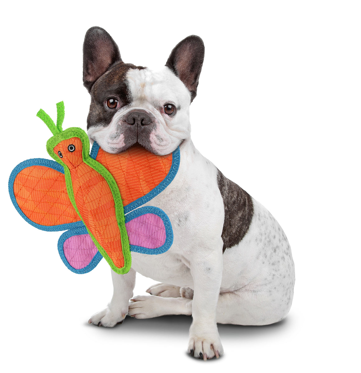 VIP DuraForce Brisbee Butterfly Dog Chew Toy Orange 9.5"
