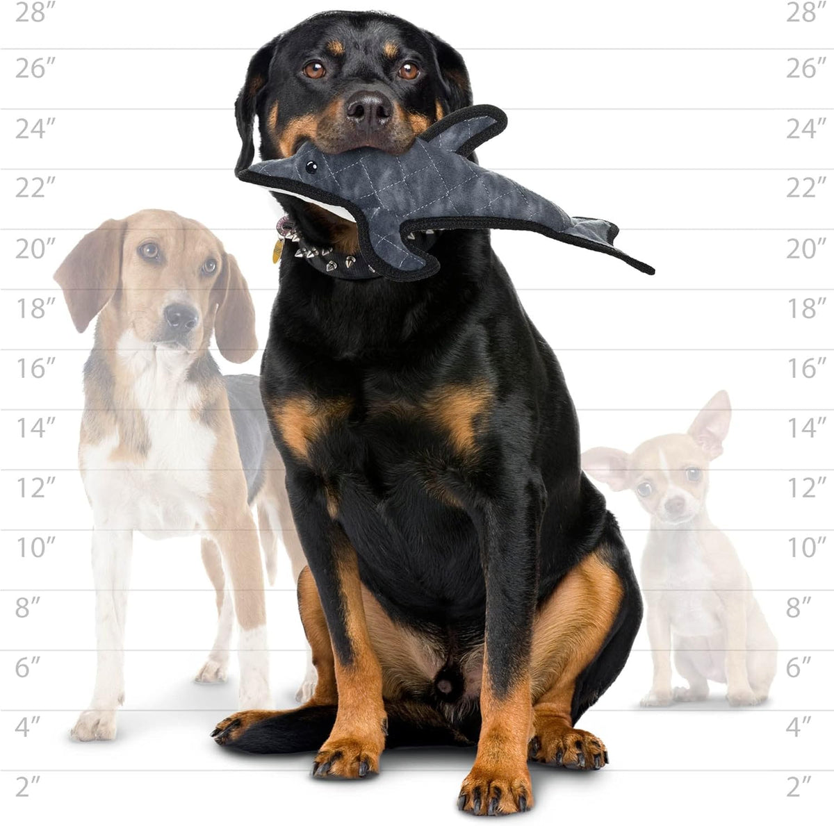 VIP Tuffy Ocean Dolphin