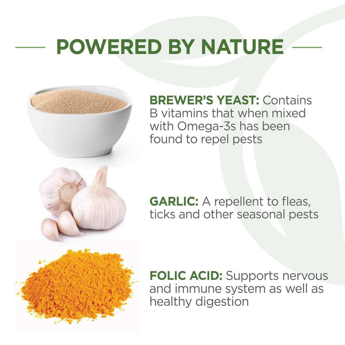 Vetality Naturals Oral Flea & Tick Chews for Dogs 120 ct